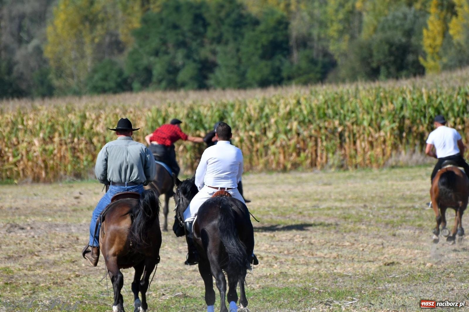 Zdjęcie w galerii na portalu naszraciborz.pl: Raciborski Hubertus - pogoń za lisem wiadomości z regionu
