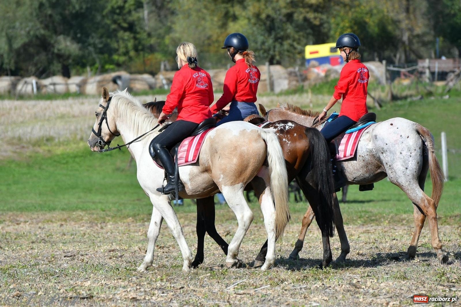Zdjęcie w galerii na portalu naszraciborz.pl: Raciborski Hubertus - pogoń za lisem wiadomości z regionu