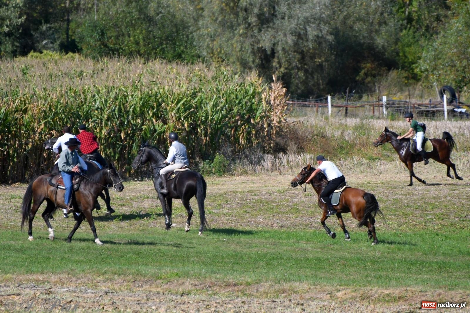 Zdjęcie w galerii na portalu naszraciborz.pl: Raciborski Hubertus - pogoń za lisem wiadomości z regionu