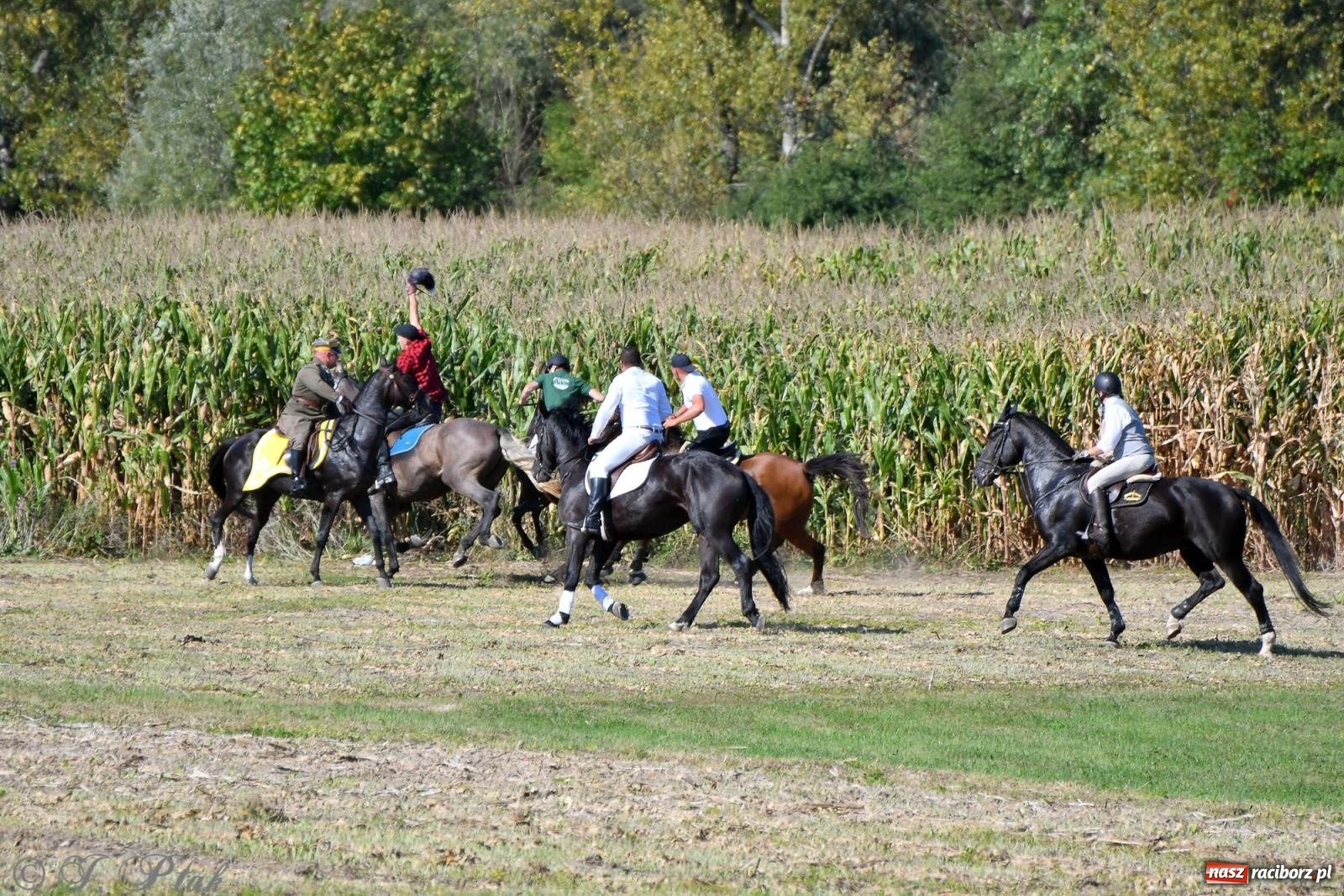 Zdjęcie w galerii na portalu naszraciborz.pl: Raciborski Hubertus - pogoń za lisem wiadomości z regionu