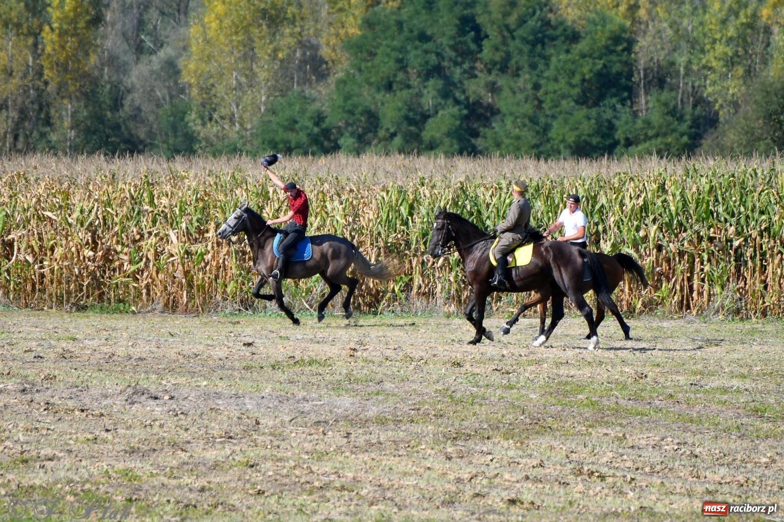 Zdjęcie w galerii na portalu naszraciborz.pl: Raciborski Hubertus - pogoń za lisem wiadomości z regionu