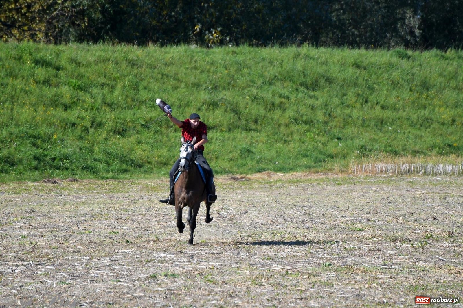 Zdjęcie w galerii na portalu naszraciborz.pl: Raciborski Hubertus - pogoń za lisem wiadomości z regionu