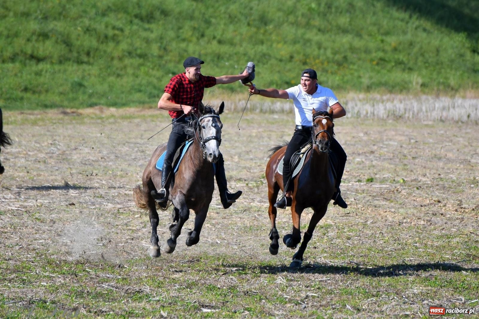 Zdjęcie w galerii na portalu naszraciborz.pl: Raciborski Hubertus - pogoń za lisem wiadomości z regionu