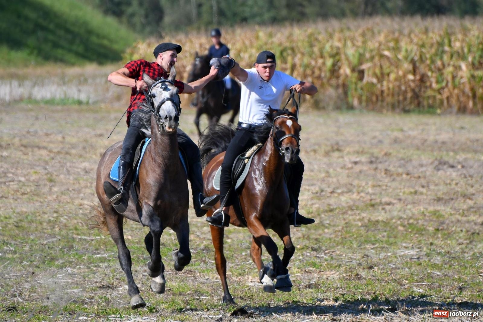 Zdjęcie w galerii na portalu naszraciborz.pl: Raciborski Hubertus - pogoń za lisem wiadomości z regionu
