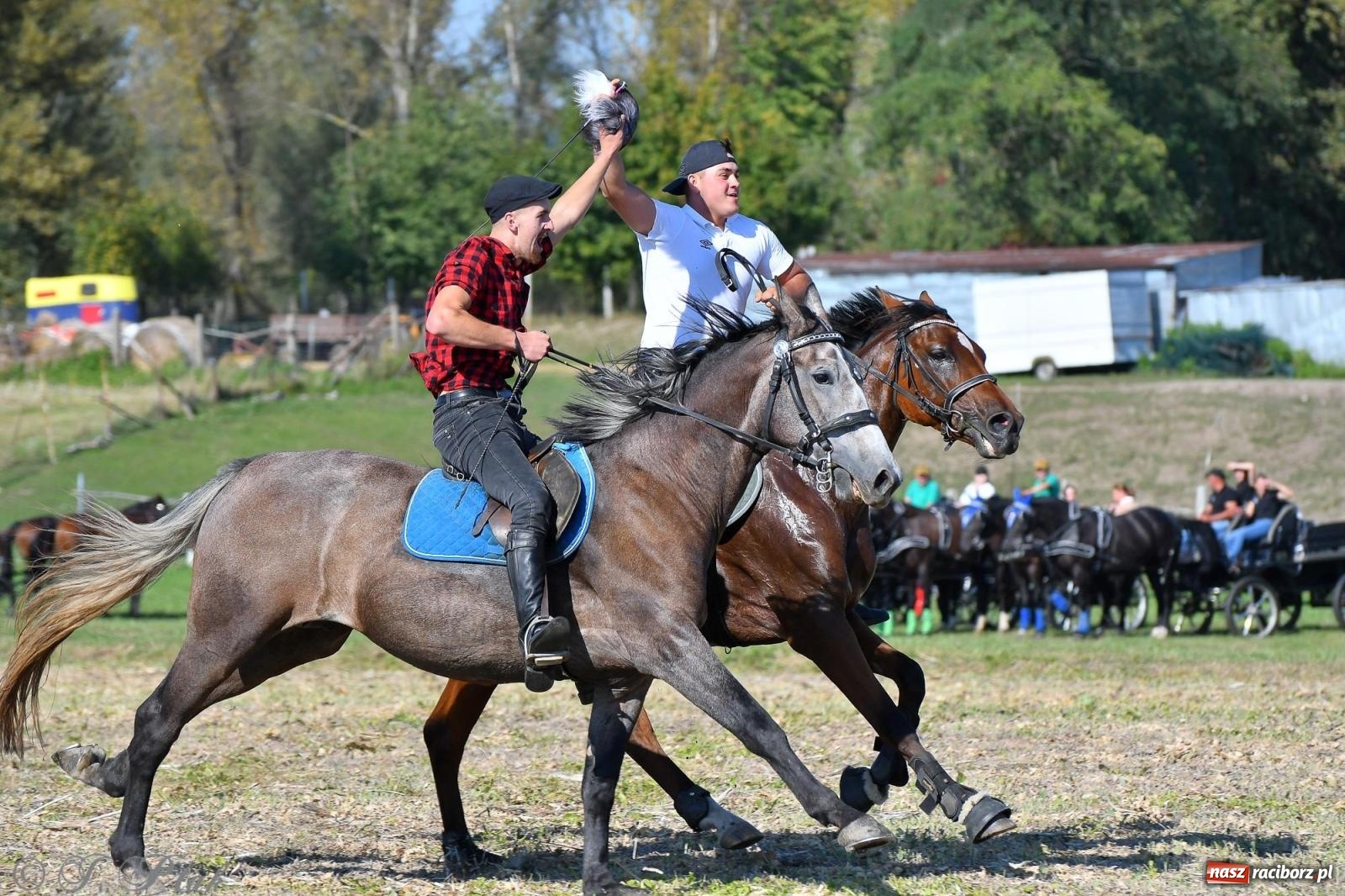 Zdjęcie w galerii na portalu naszraciborz.pl: Raciborski Hubertus - pogoń za lisem wiadomości z regionu