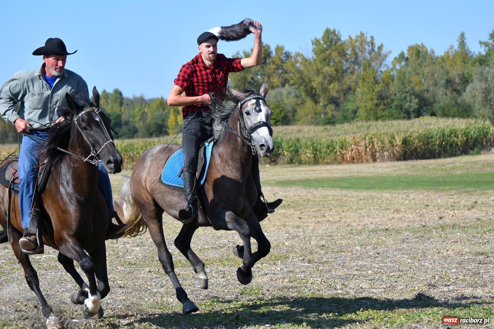 Zdjęcie w galerii na portalu naszraciborz.pl: Raciborski Hubertus - pogoń za lisem wiadomości z regionu