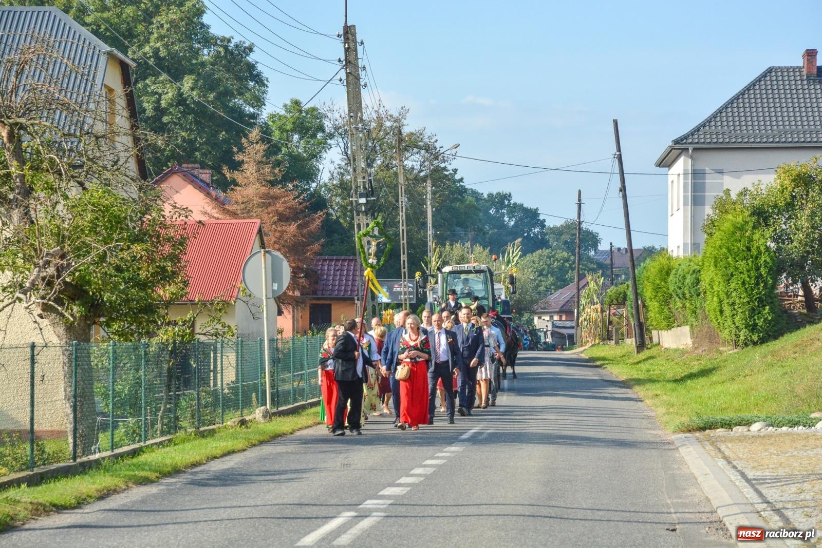 Zdjęcie w galerii na portalu naszraciborz.pl: Dobry futer, silne byki. Brzeźnica korowodem na parafialne dożynki [FOTO i WIDEO] wiadomości z regionu