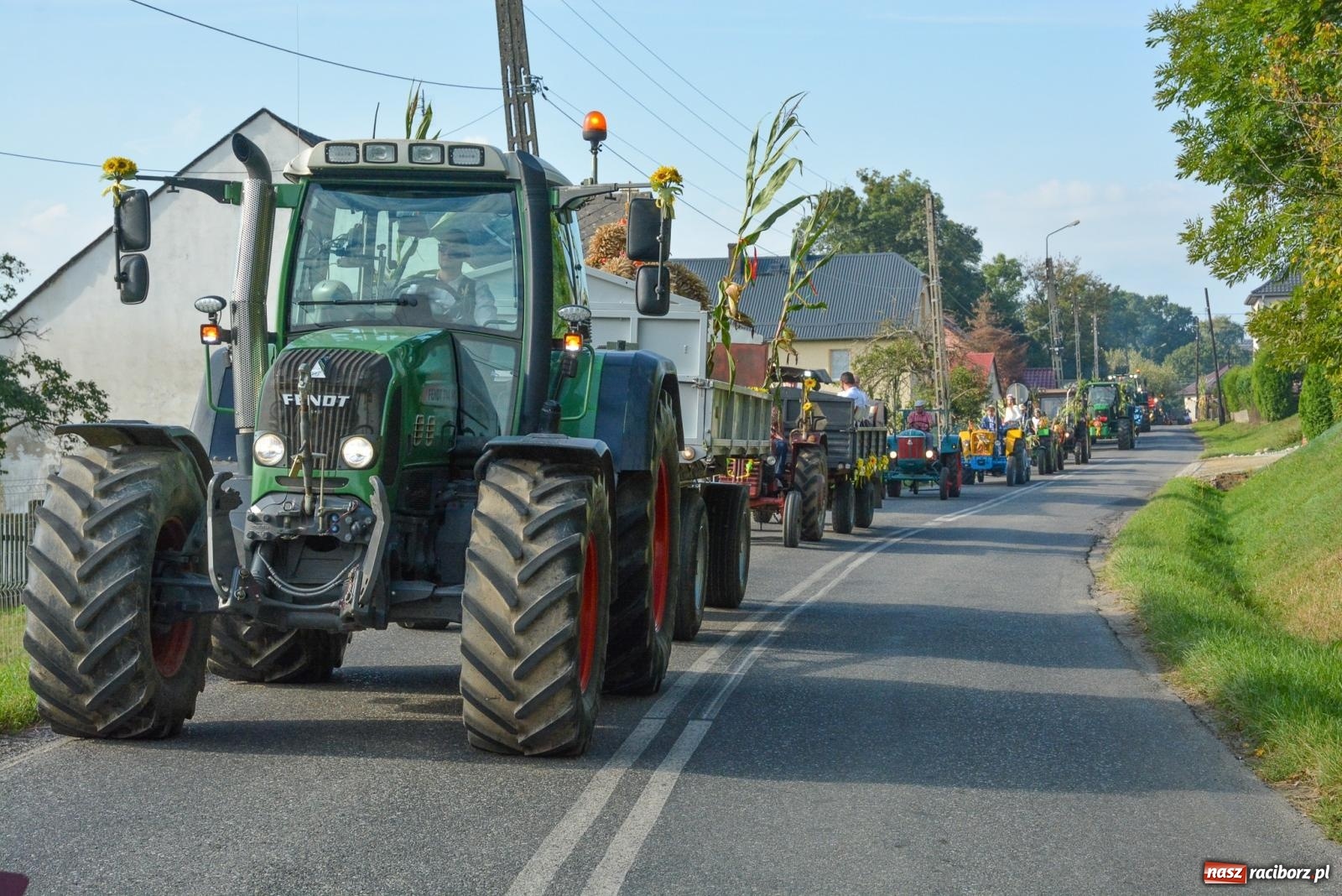 Zdjęcie w galerii na portalu naszraciborz.pl: Dobry futer, silne byki. Brzeźnica korowodem na parafialne dożynki [FOTO i WIDEO] wiadomości z regionu