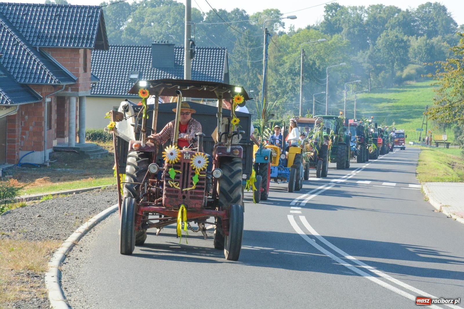 Zdjęcie w galerii na portalu naszraciborz.pl: Dobry futer, silne byki. Brzeźnica korowodem na parafialne dożynki [FOTO i WIDEO] wiadomości z regionu