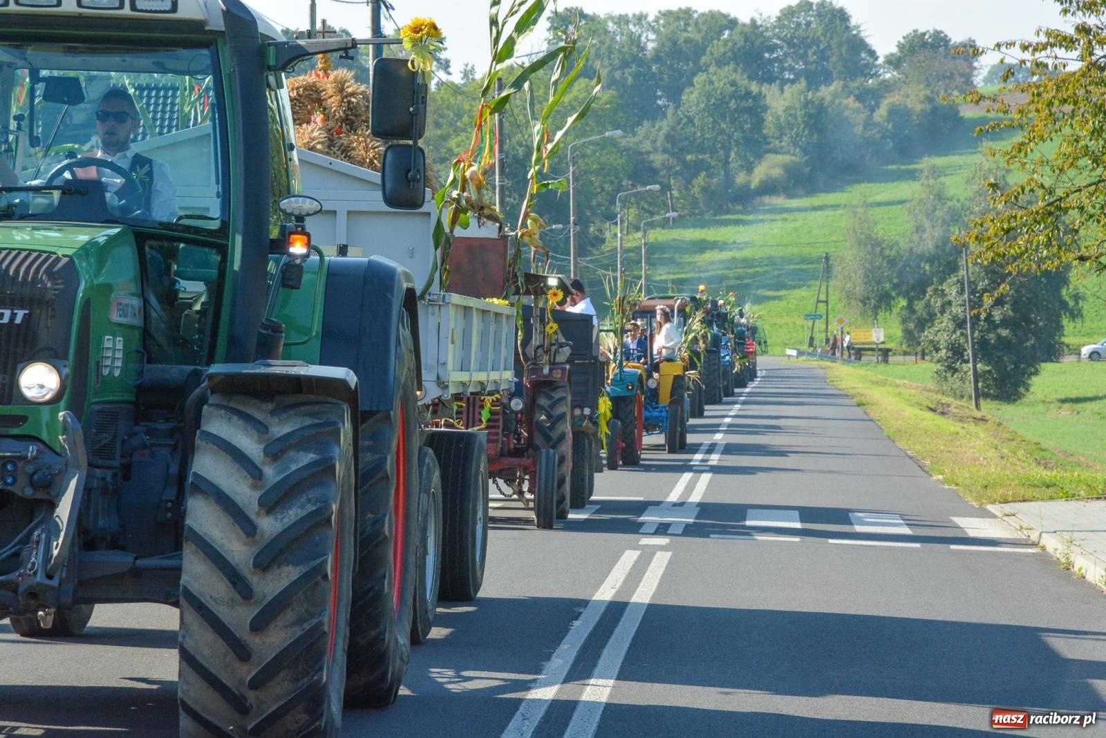 Zdjęcie w galerii na portalu naszraciborz.pl: Dobry futer, silne byki. Brzeźnica korowodem na parafialne dożynki [FOTO i WIDEO] wiadomości z regionu