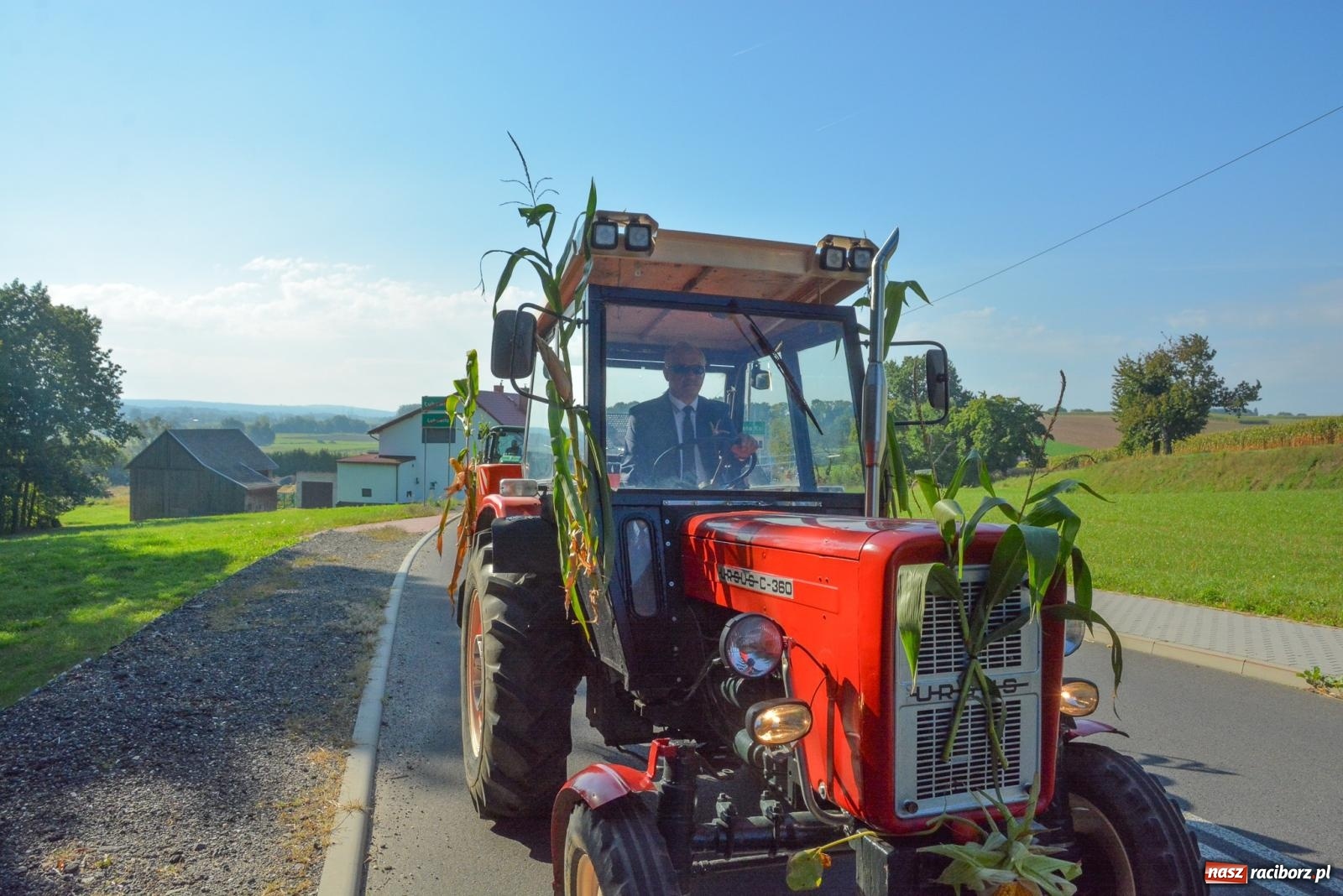 Zdjęcie w galerii na portalu naszraciborz.pl: Dobry futer, silne byki. Brzeźnica korowodem na parafialne dożynki [FOTO i WIDEO] wiadomości z regionu