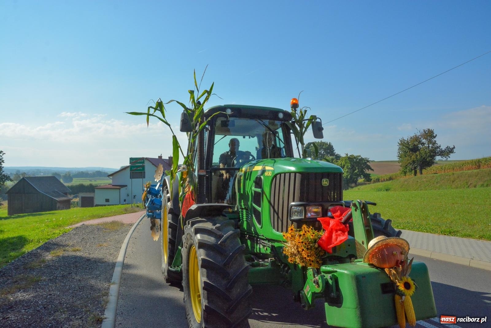 Zdjęcie w galerii na portalu naszraciborz.pl: Dobry futer, silne byki. Brzeźnica korowodem na parafialne dożynki [FOTO i WIDEO] wiadomości z regionu