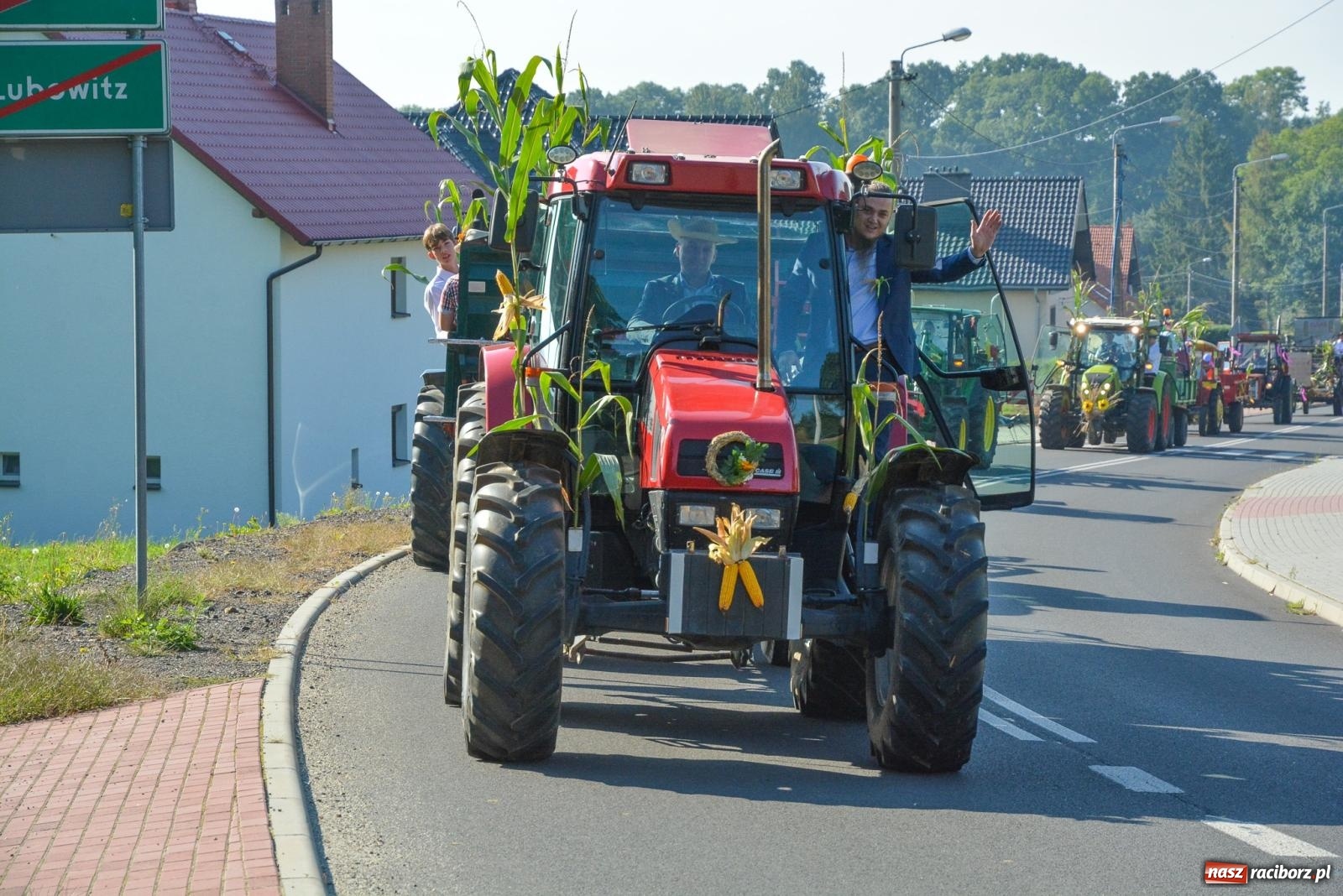 Zdjęcie w galerii na portalu naszraciborz.pl: Dobry futer, silne byki. Brzeźnica korowodem na parafialne dożynki [FOTO i WIDEO] wiadomości z regionu