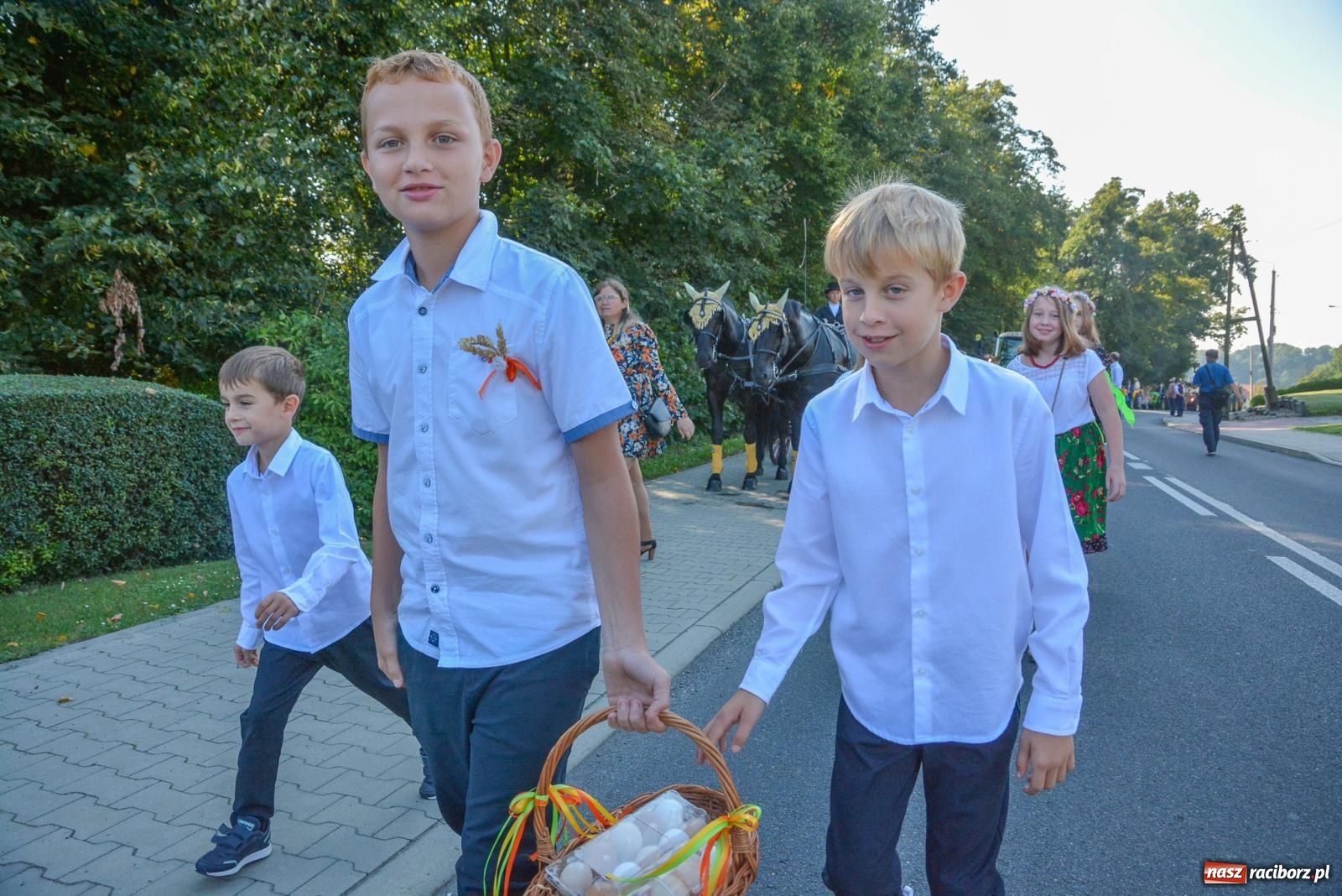 Zdjęcie w galerii na portalu naszraciborz.pl: Dobry futer, silne byki. Brzeźnica korowodem na parafialne dożynki [FOTO i WIDEO] wiadomości z regionu