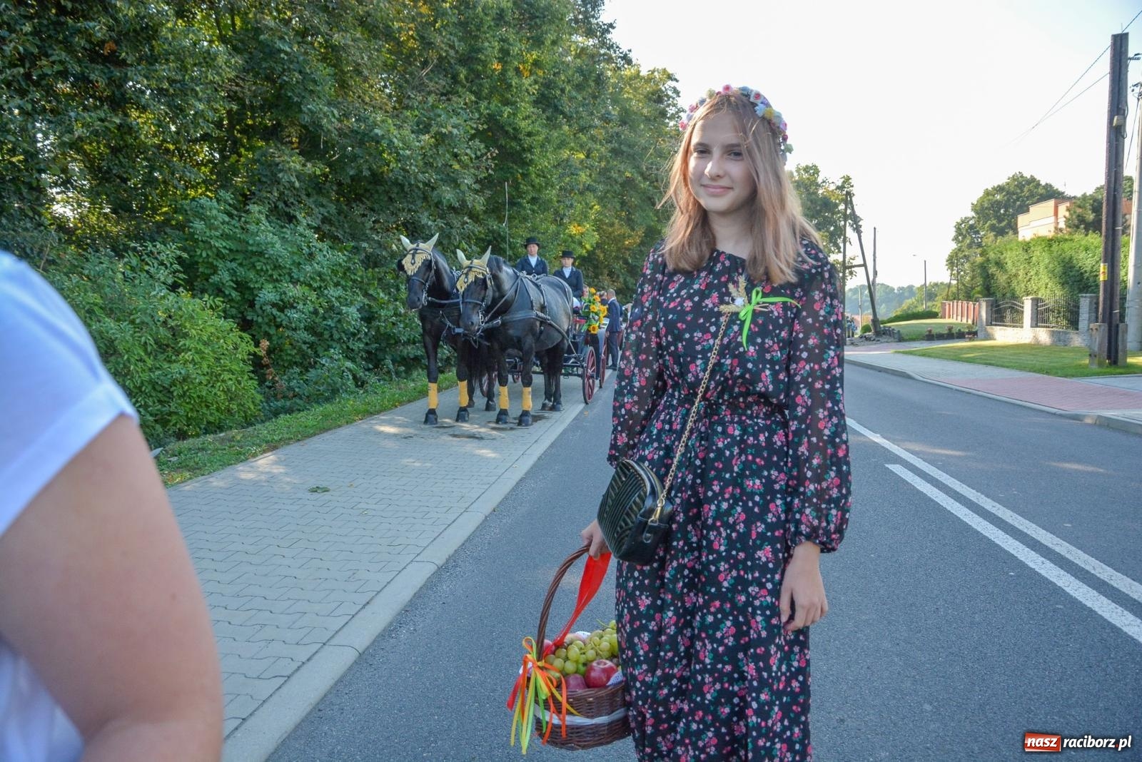 Zdjęcie w galerii na portalu naszraciborz.pl: Dobry futer, silne byki. Brzeźnica korowodem na parafialne dożynki [FOTO i WIDEO] wiadomości z regionu