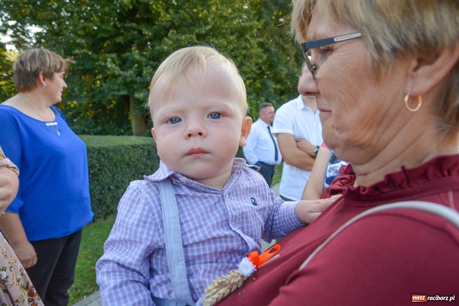Zdjęcie w galerii na portalu naszraciborz.pl: Dobry futer, silne byki. Brzeźnica korowodem na parafialne dożynki [FOTO i WIDEO] wiadomości z regionu