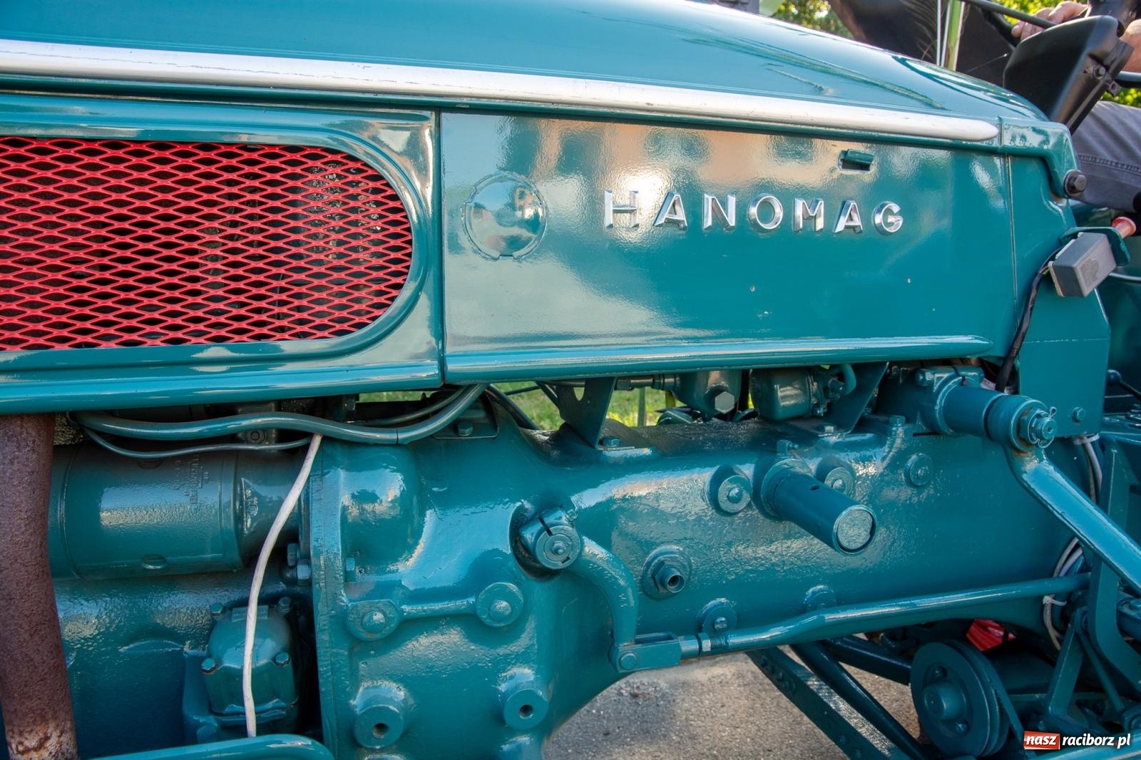 Zdjęcie w galerii na portalu naszraciborz.pl: Dobry futer, silne byki. Brzeźnica korowodem na parafialne dożynki [FOTO i WIDEO] wiadomości z regionu