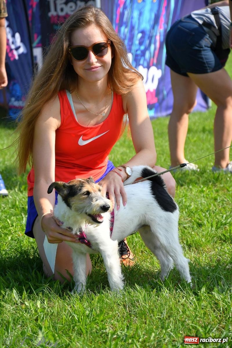 Zdjęcie w galerii na portalu naszraciborz.pl: Dogtrekking - charytatywny marsz z czworonogami [FOTO i WIDEO] wiadomości z regionu