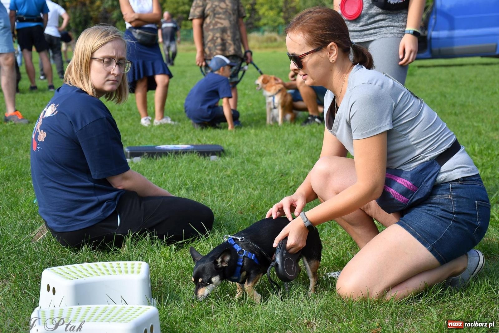 Zdjęcie w galerii na portalu naszraciborz.pl: Dogtrekking - charytatywny marsz z czworonogami [FOTO i WIDEO] wiadomości z regionu