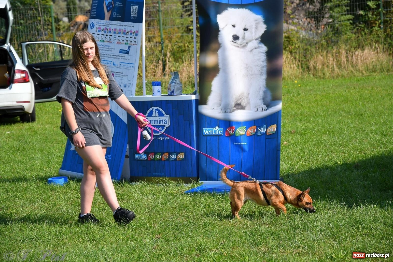 Zdjęcie w galerii na portalu naszraciborz.pl: Dogtrekking - charytatywny marsz z czworonogami [FOTO i WIDEO] wiadomości z regionu