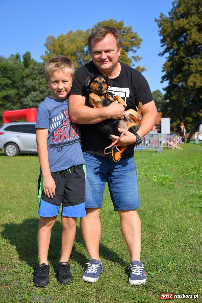Zdjęcie w galerii na portalu naszraciborz.pl: Dogtrekking - charytatywny marsz z czworonogami [FOTO i WIDEO] wiadomości z regionu