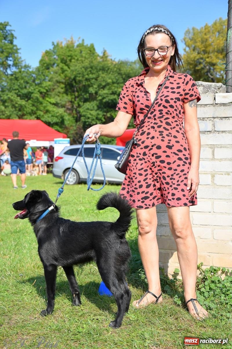 Zdjęcie w galerii na portalu naszraciborz.pl: Dogtrekking - charytatywny marsz z czworonogami [FOTO i WIDEO] wiadomości z regionu