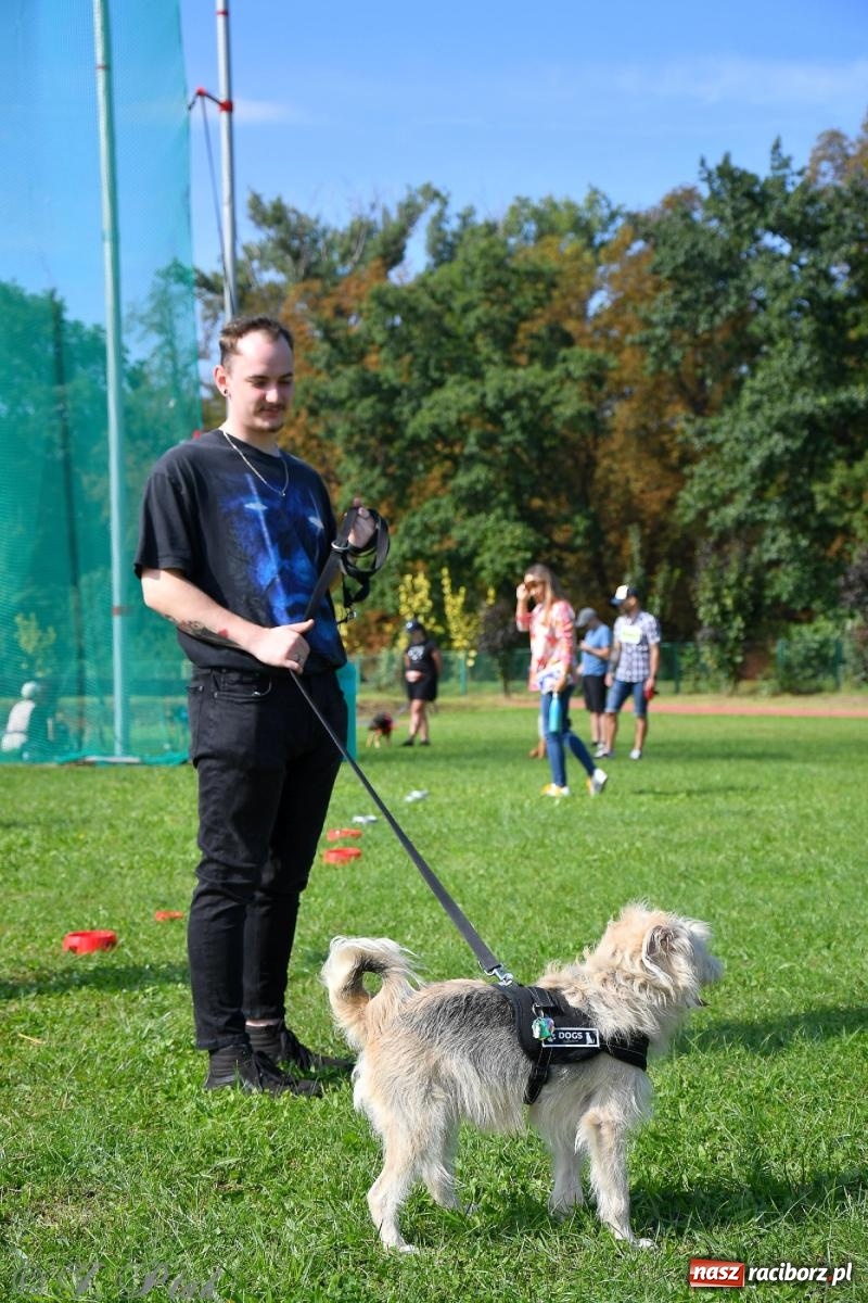 Zdjęcie w galerii na portalu naszraciborz.pl: Dogtrekking - charytatywny marsz z czworonogami [FOTO i WIDEO] wiadomości z regionu