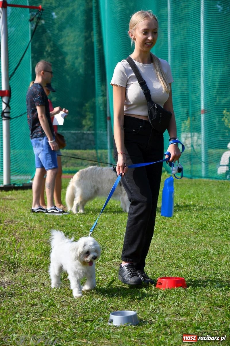 Zdjęcie w galerii na portalu naszraciborz.pl: Dogtrekking - charytatywny marsz z czworonogami [FOTO i WIDEO] wiadomości z regionu
