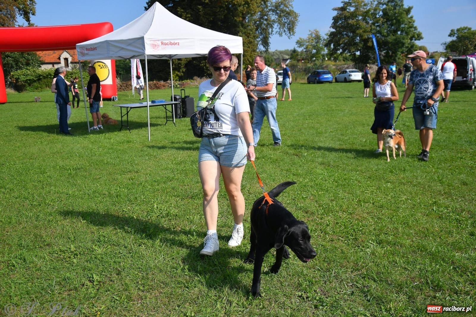 Zdjęcie w galerii na portalu naszraciborz.pl: Dogtrekking - charytatywny marsz z czworonogami [FOTO i WIDEO] wiadomości z regionu