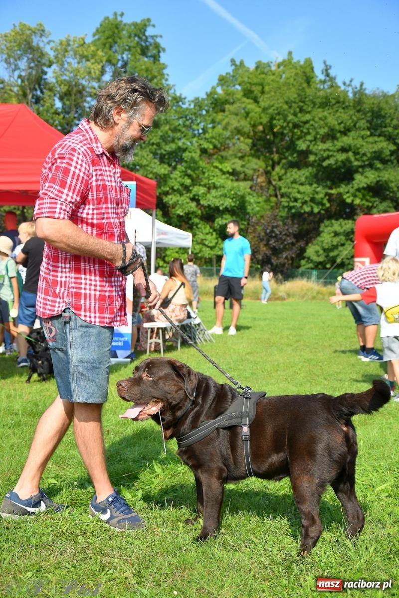 Zdjęcie w galerii na portalu naszraciborz.pl: Dogtrekking - charytatywny marsz z czworonogami [FOTO i WIDEO] wiadomości z regionu