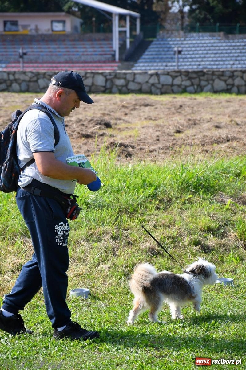 Zdjęcie w galerii na portalu naszraciborz.pl: Dogtrekking - charytatywny marsz z czworonogami [FOTO i WIDEO] wiadomości z regionu