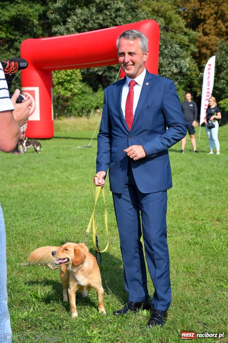 Zdjęcie w galerii na portalu naszraciborz.pl: Dogtrekking - charytatywny marsz z czworonogami [FOTO i WIDEO] wiadomości z regionu