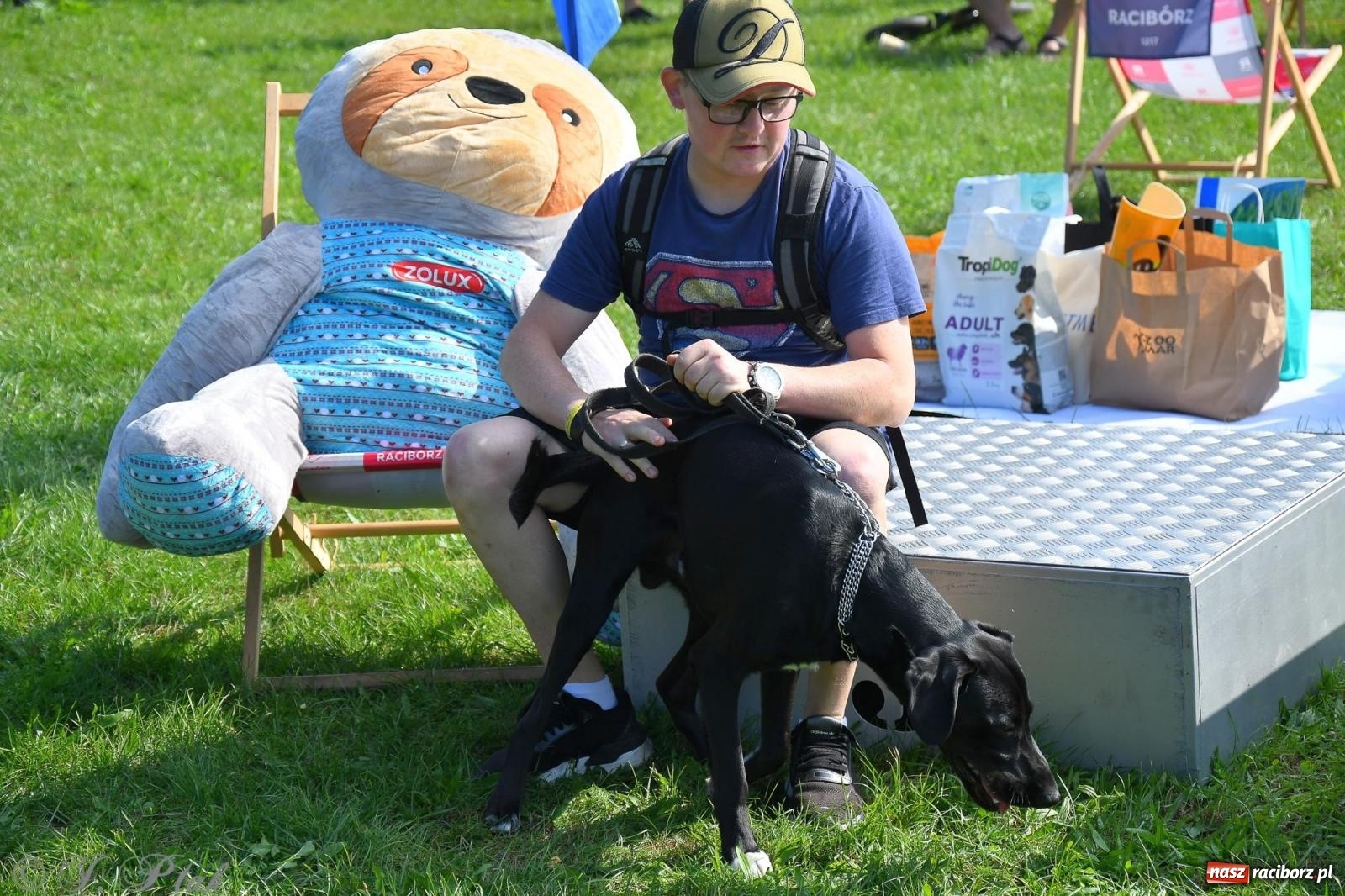 Zdjęcie w galerii na portalu naszraciborz.pl: Dogtrekking - charytatywny marsz z czworonogami [FOTO i WIDEO] wiadomości z regionu