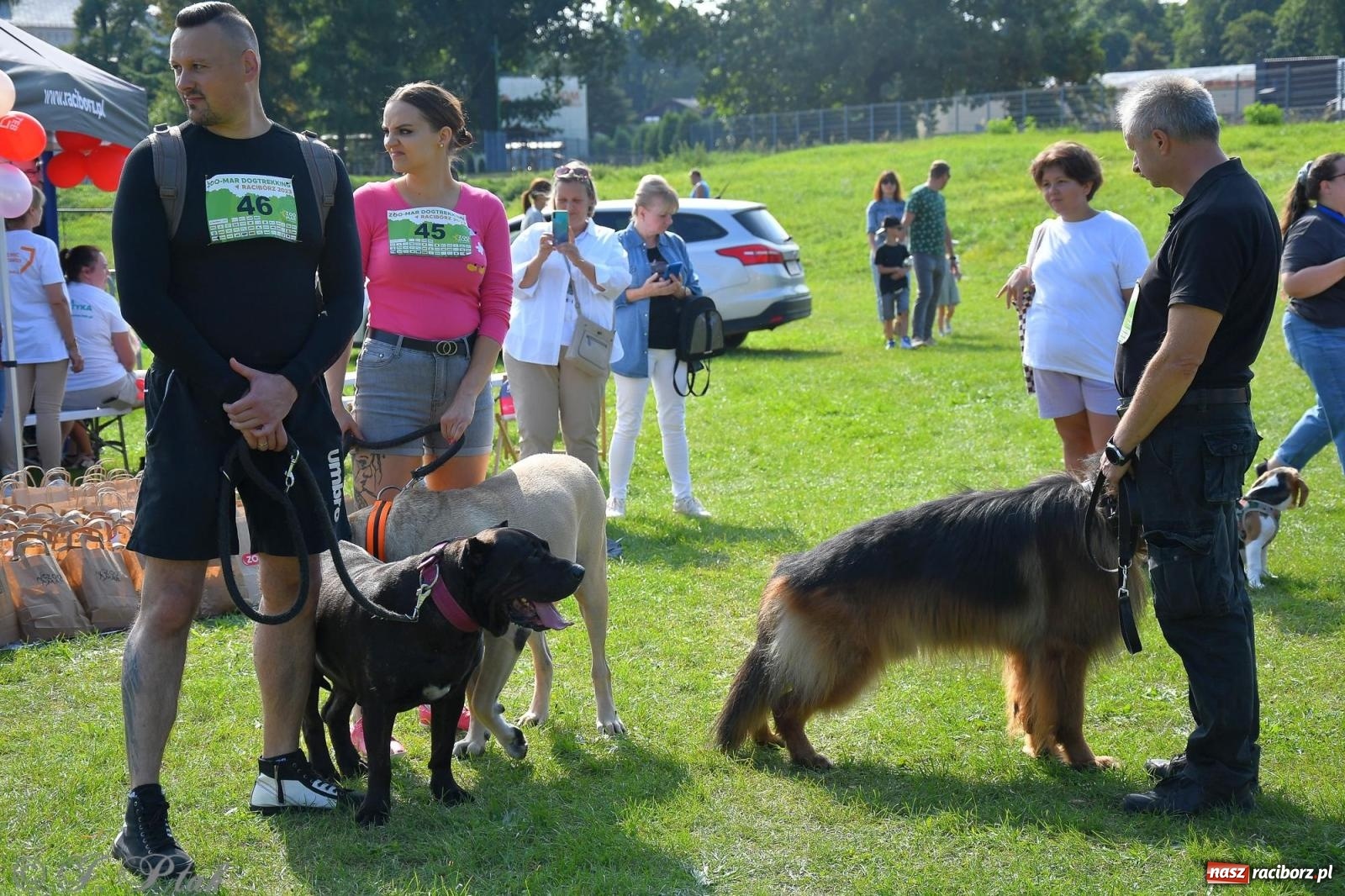 Zdjęcie w galerii na portalu naszraciborz.pl: Dogtrekking - charytatywny marsz z czworonogami [FOTO i WIDEO] wiadomości z regionu
