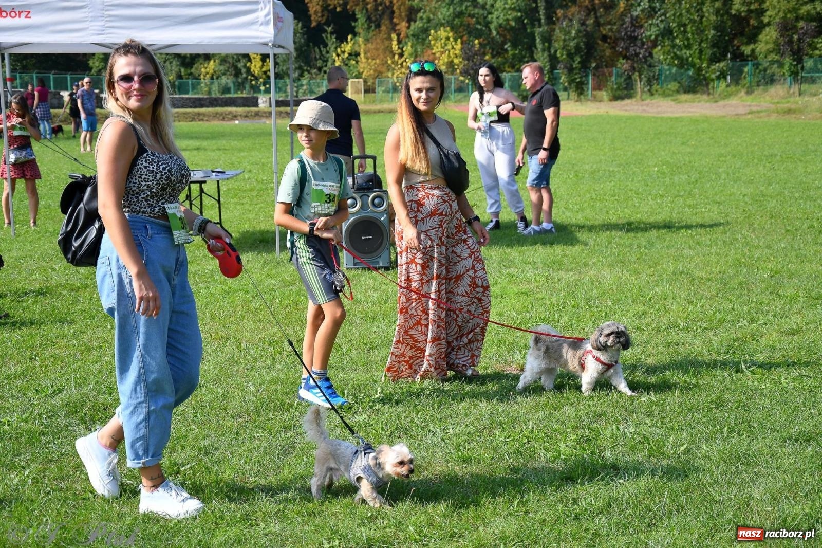 Zdjęcie w galerii na portalu naszraciborz.pl: Dogtrekking - charytatywny marsz z czworonogami [FOTO i WIDEO] wiadomości z regionu