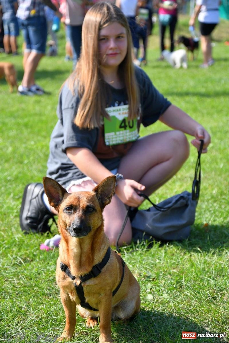 Zdjęcie w galerii na portalu naszraciborz.pl: Dogtrekking - charytatywny marsz z czworonogami [FOTO i WIDEO] wiadomości z regionu