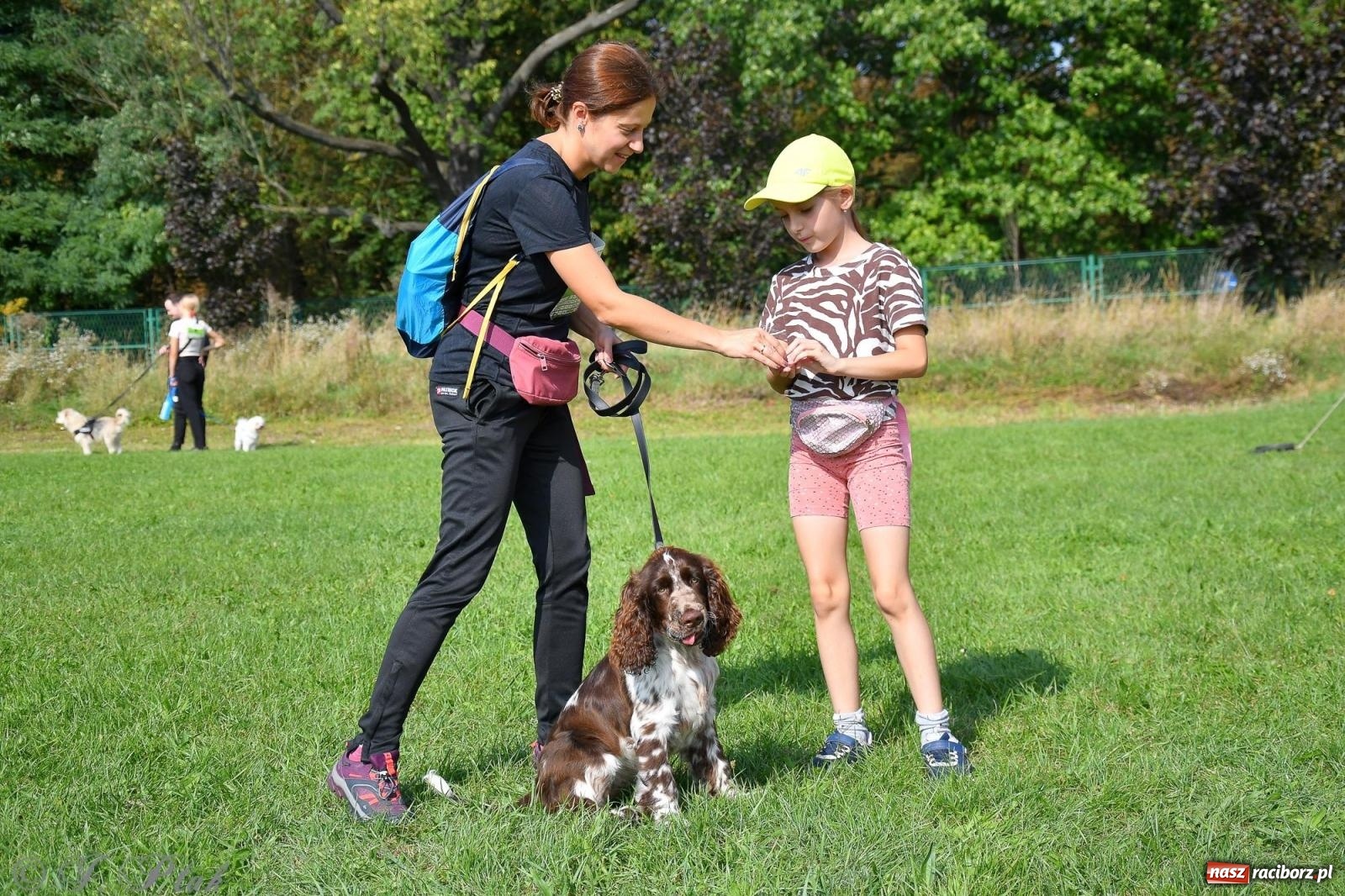 Zdjęcie w galerii na portalu naszraciborz.pl: Dogtrekking - charytatywny marsz z czworonogami [FOTO i WIDEO] wiadomości z regionu