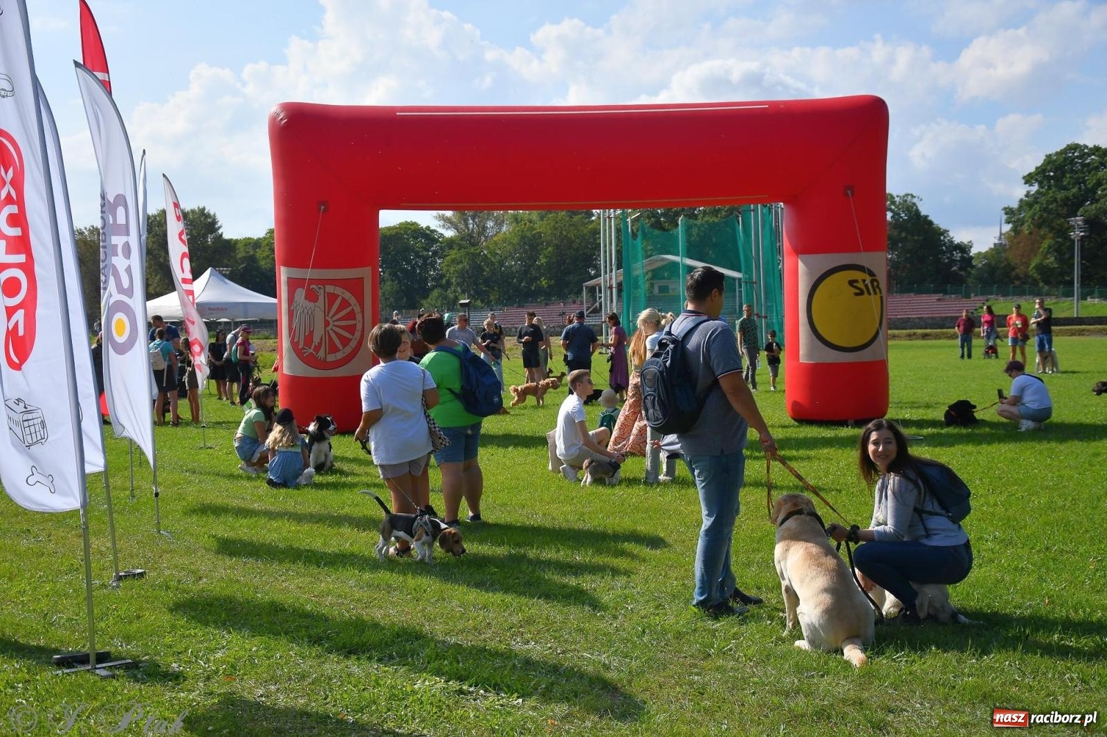 Zdjęcie w galerii na portalu naszraciborz.pl: Dogtrekking - charytatywny marsz z czworonogami [FOTO i WIDEO] wiadomości z regionu