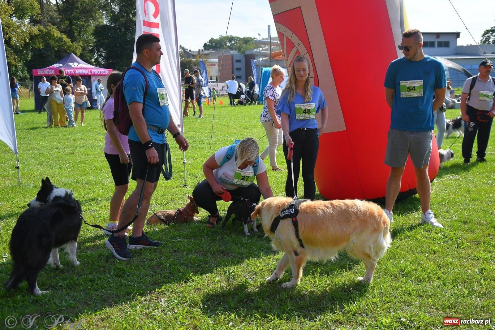 Zdjęcie w galerii na portalu naszraciborz.pl: Dogtrekking - charytatywny marsz z czworonogami [FOTO i WIDEO] wiadomości z regionu