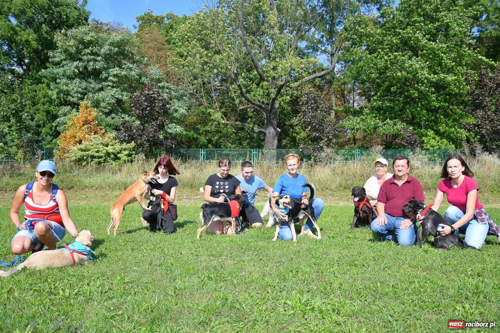 Zdjęcie w galerii na portalu naszraciborz.pl: Dogtrekking - charytatywny marsz z czworonogami [FOTO i WIDEO] wiadomości z regionu