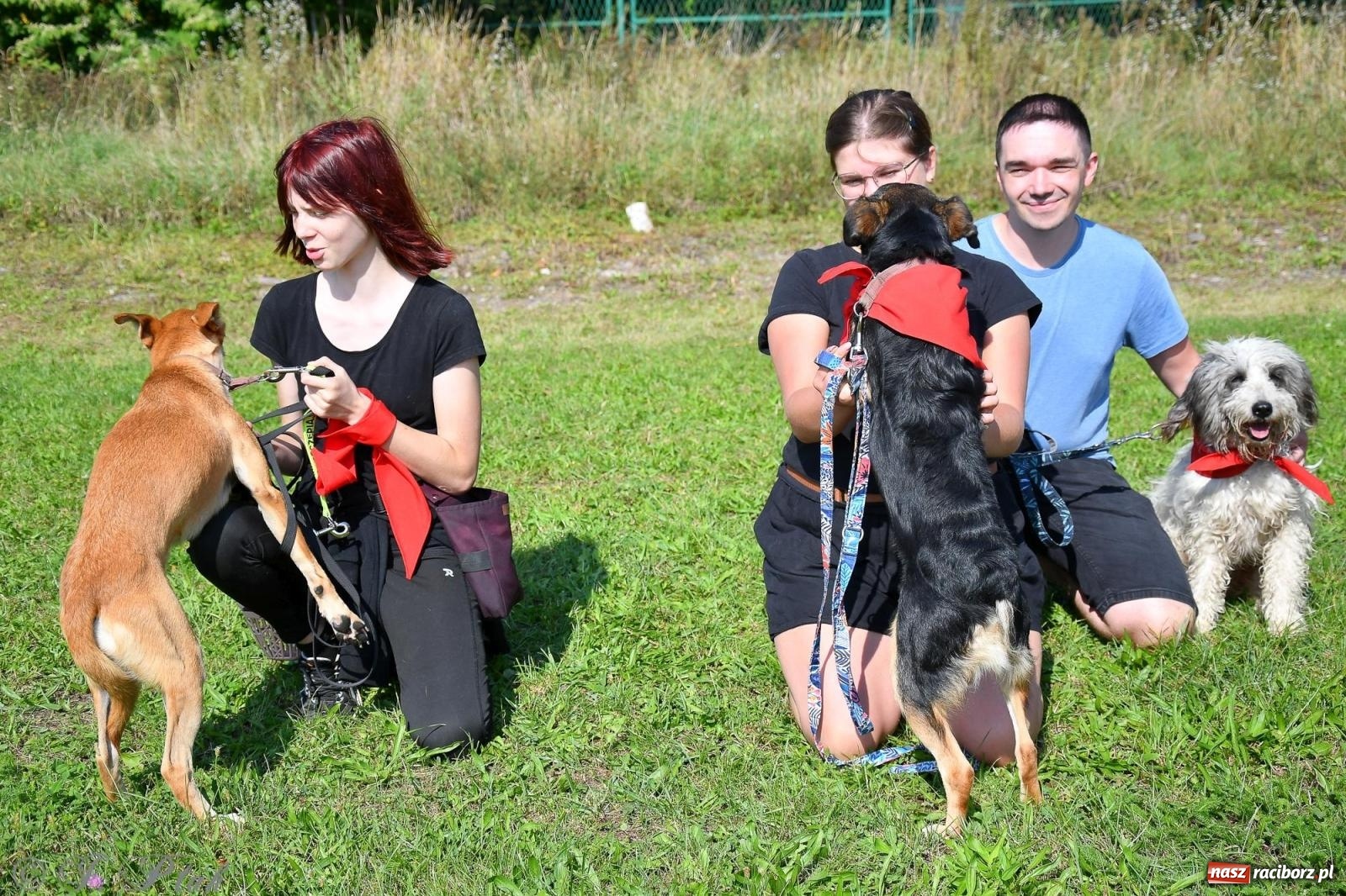 Zdjęcie w galerii na portalu naszraciborz.pl: Dogtrekking - charytatywny marsz z czworonogami [FOTO i WIDEO] wiadomości z regionu