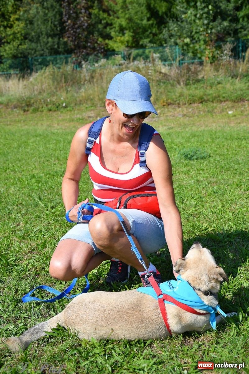 Zdjęcie w galerii na portalu naszraciborz.pl: Dogtrekking - charytatywny marsz z czworonogami [FOTO i WIDEO] wiadomości z regionu