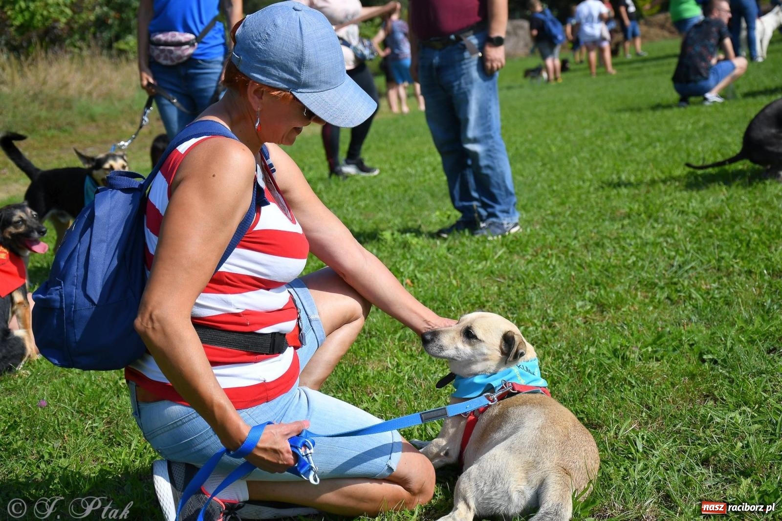 Zdjęcie w galerii na portalu naszraciborz.pl: Dogtrekking - charytatywny marsz z czworonogami [FOTO i WIDEO] wiadomości z regionu