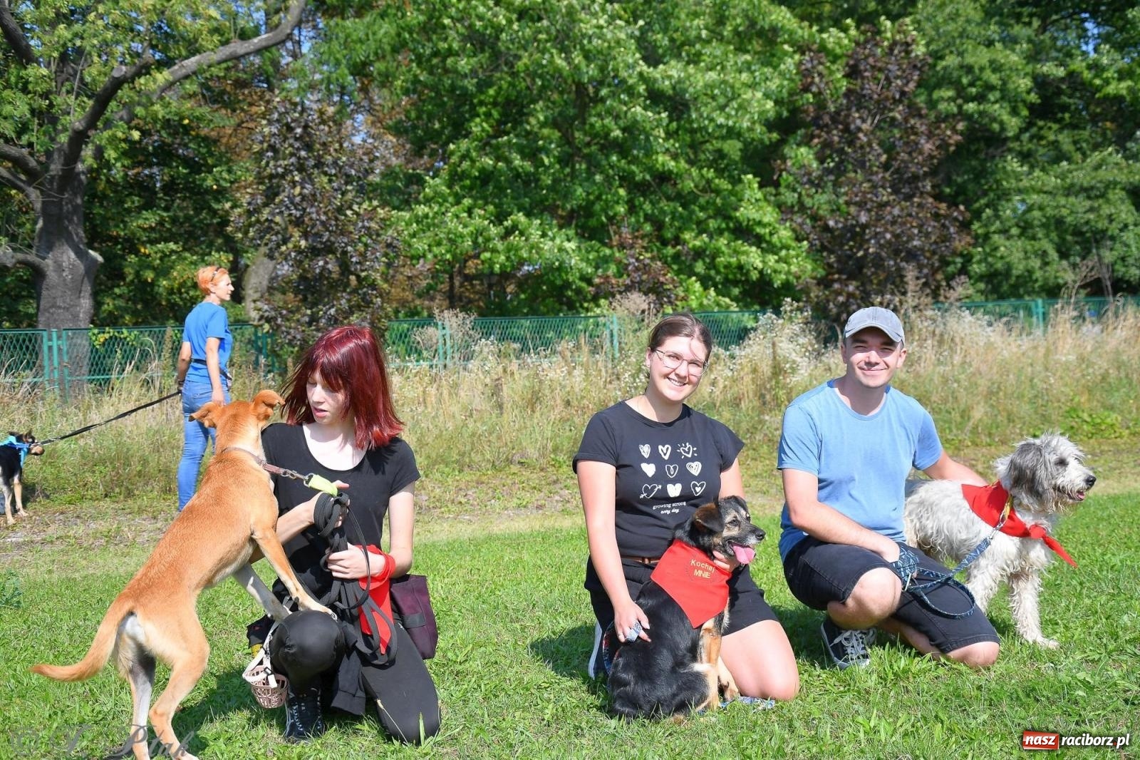 Zdjęcie w galerii na portalu naszraciborz.pl: Dogtrekking - charytatywny marsz z czworonogami [FOTO i WIDEO] wiadomości z regionu