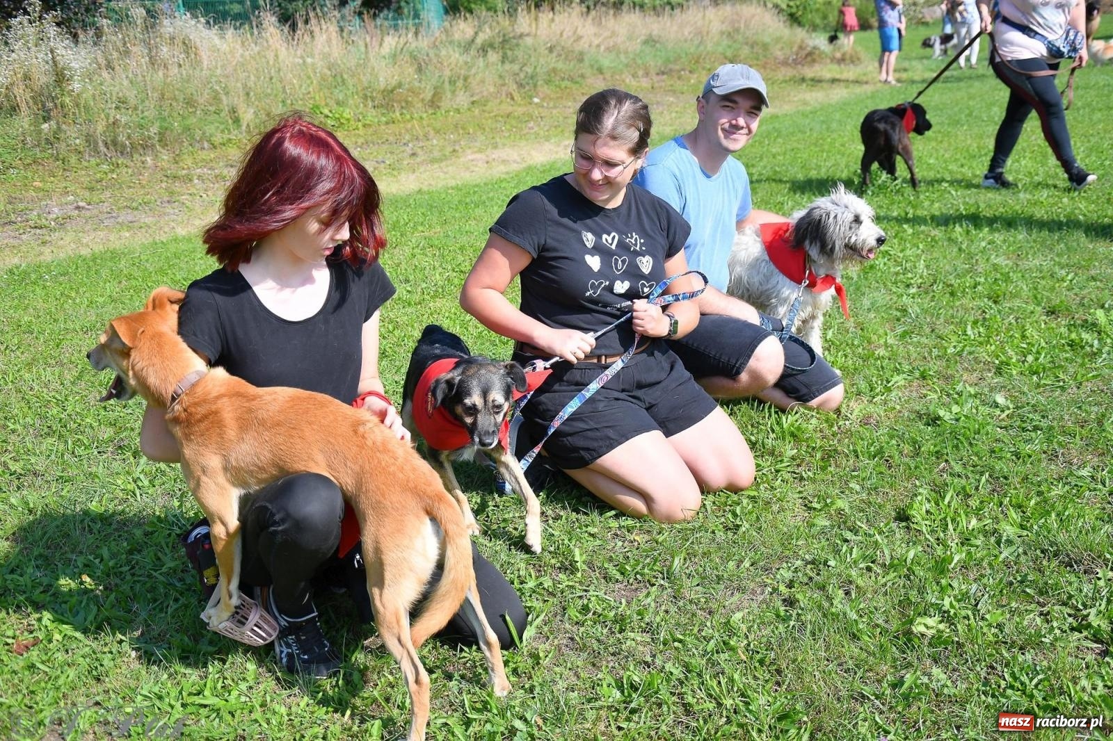 Zdjęcie w galerii na portalu naszraciborz.pl: Dogtrekking - charytatywny marsz z czworonogami [FOTO i WIDEO] wiadomości z regionu
