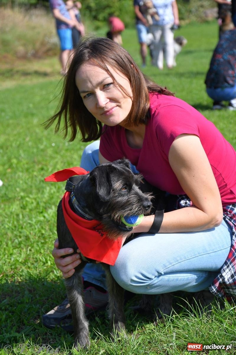 Zdjęcie w galerii na portalu naszraciborz.pl: Dogtrekking - charytatywny marsz z czworonogami [FOTO i WIDEO] wiadomości z regionu