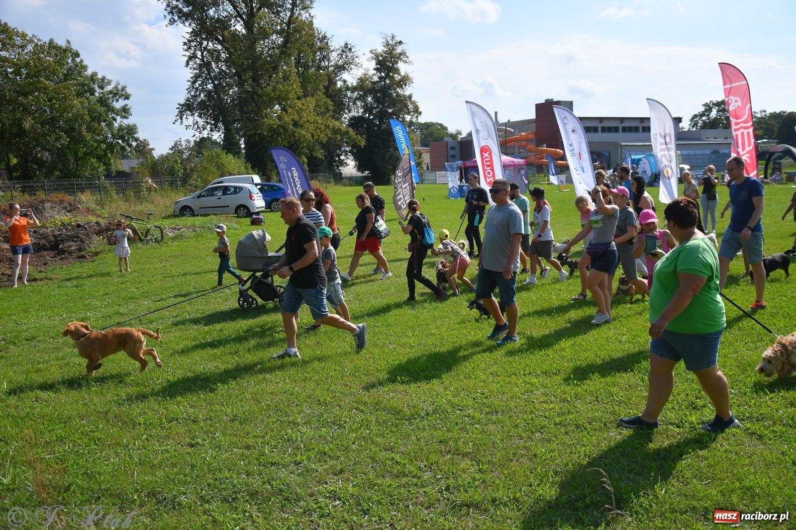 Zdjęcie w galerii na portalu naszraciborz.pl: Dogtrekking - charytatywny marsz z czworonogami [FOTO i WIDEO] wiadomości z regionu