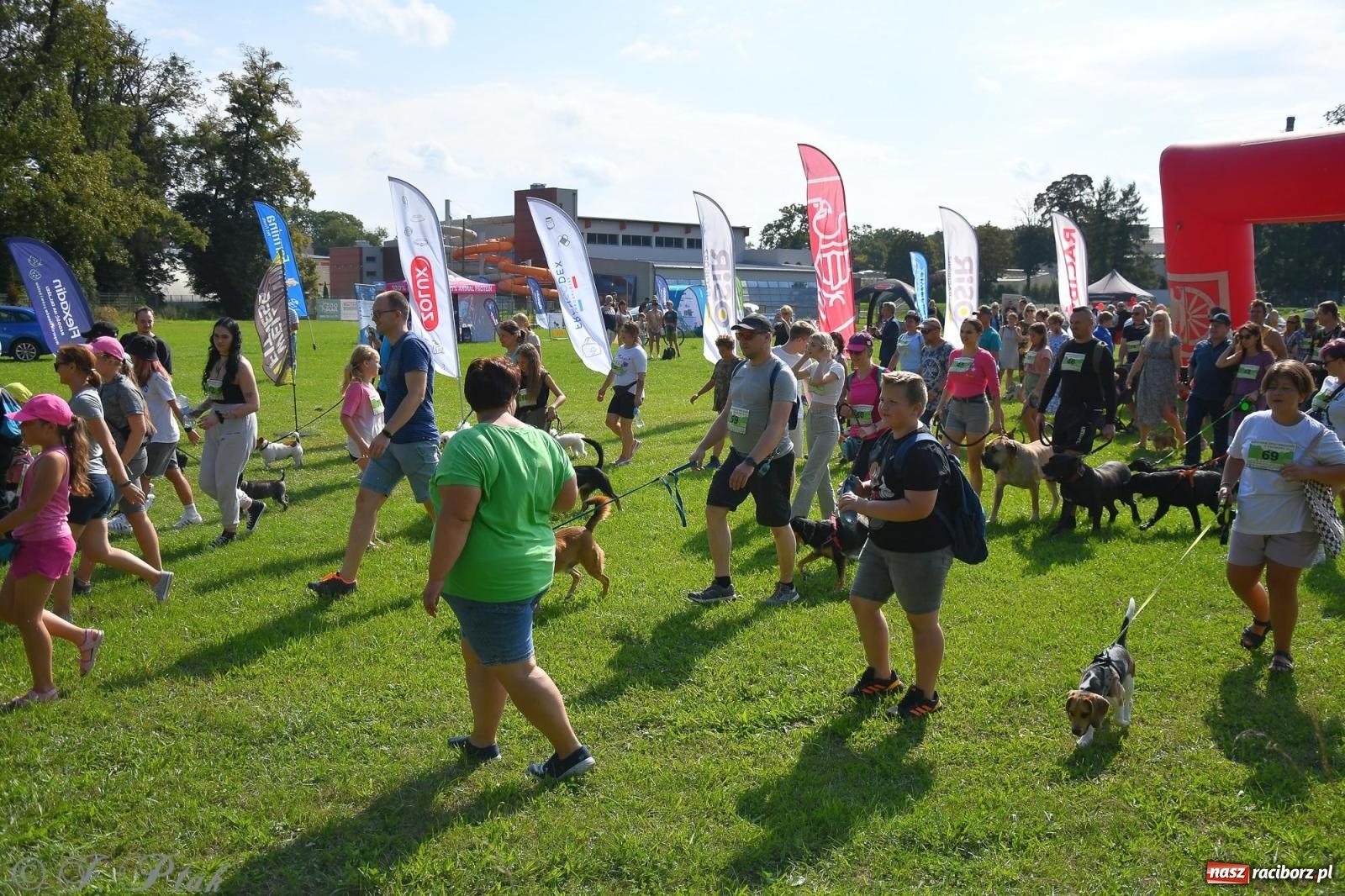 Zdjęcie w galerii na portalu naszraciborz.pl: Dogtrekking - charytatywny marsz z czworonogami [FOTO i WIDEO] wiadomości z regionu