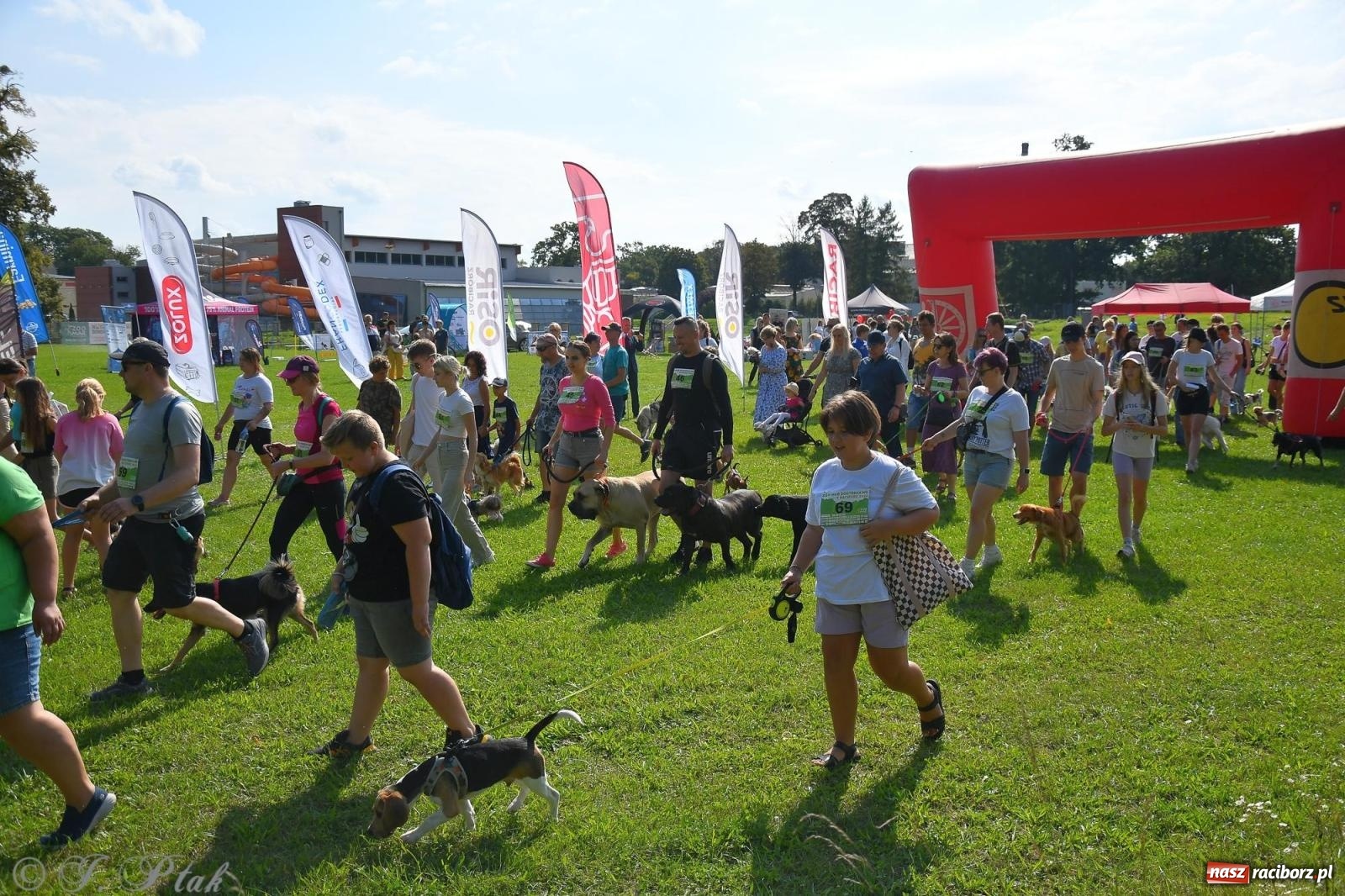 Zdjęcie w galerii na portalu naszraciborz.pl: Dogtrekking - charytatywny marsz z czworonogami [FOTO i WIDEO] wiadomości z regionu