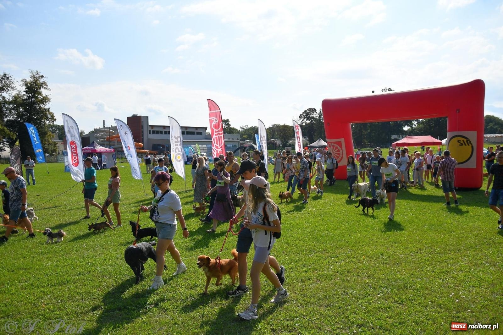 Zdjęcie w galerii na portalu naszraciborz.pl: Dogtrekking - charytatywny marsz z czworonogami [FOTO i WIDEO] wiadomości z regionu